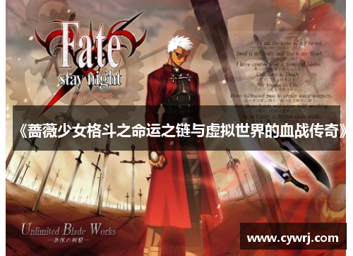 《蔷薇少女格斗之命运之链与虚拟世界的血战传奇》