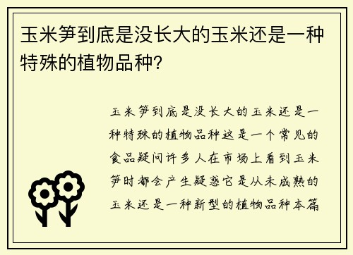 玉米笋到底是没长大的玉米还是一种特殊的植物品种？